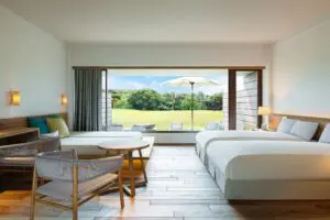 sirabee20250324haimurubushi004