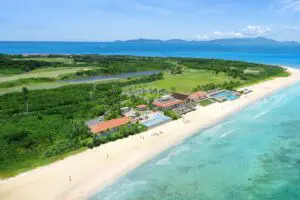 sirabee20250324haimurubushi010