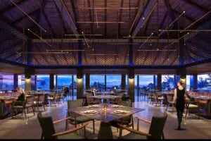 sirabee20250324haimurubushi011