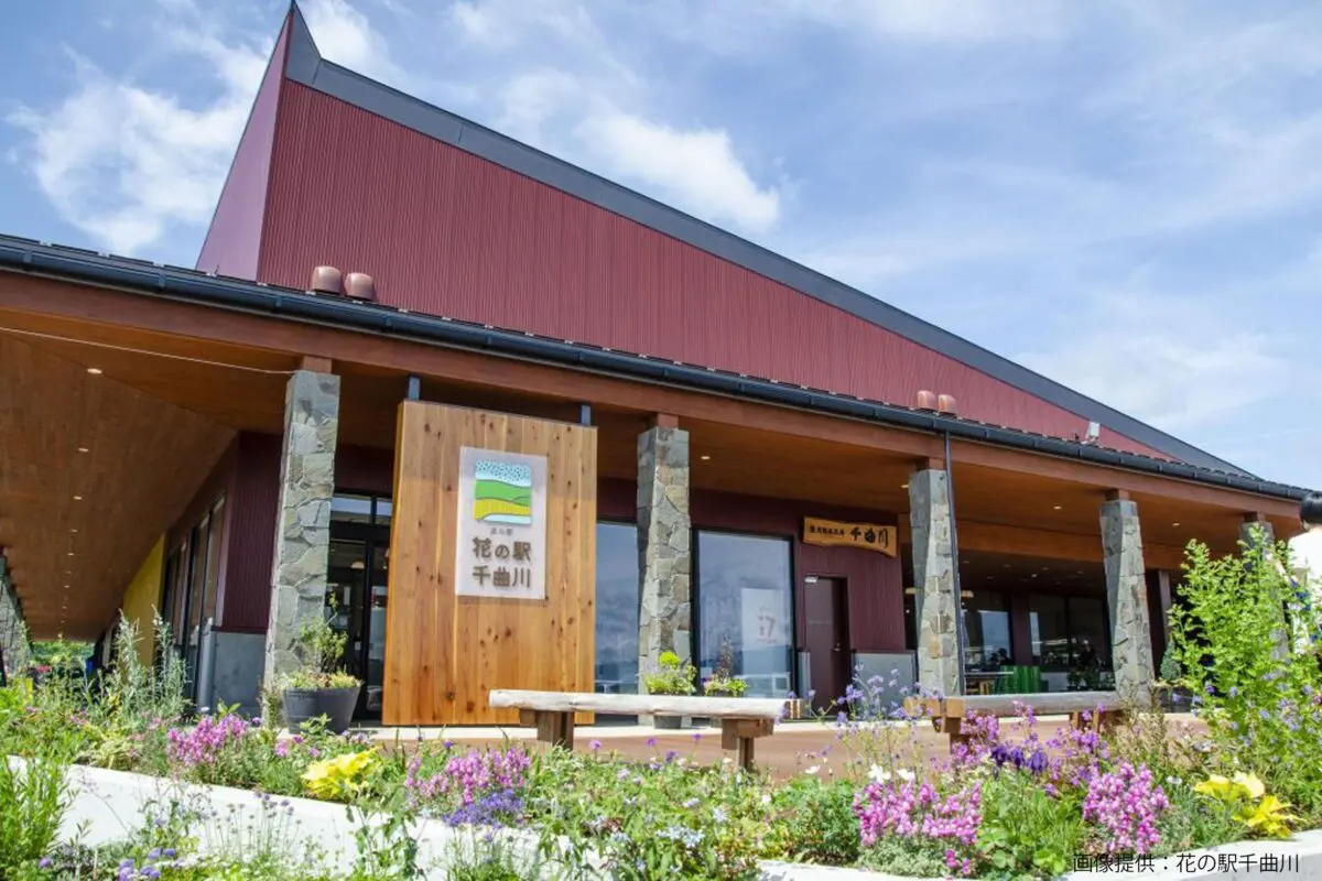 sirabee20250324nameko2