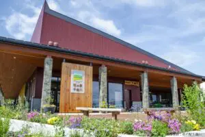 sirabee20250324nameko2