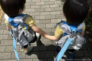 子供のハーネスは「ペットみたいで可哀想」論争に決着か　2児の母の意見が「正論すぎる」と話題