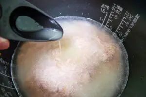 sirabee20250326otaisan4