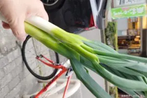 裸でネギ持って名古屋を爆走する男性、完全に変質者と思いきや…　「日本語って難しい」と話題