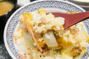 sirabee20250328yoshinoya4