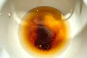 sirabee20250330beansprouts2