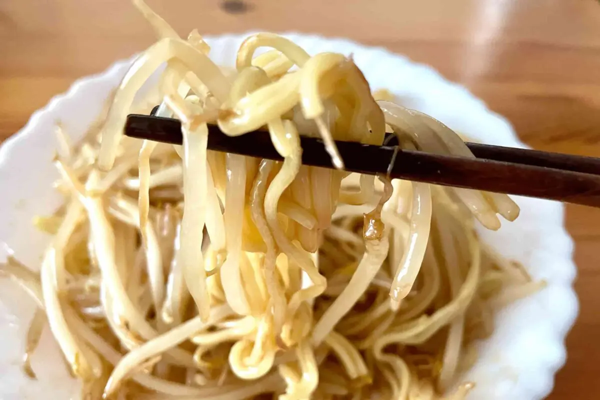 sirabee20250330beansprouts6