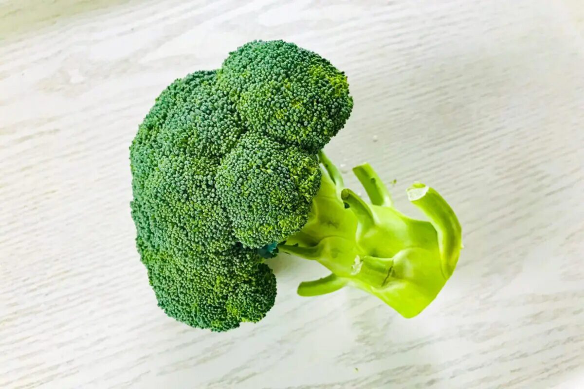 ブロッコリー