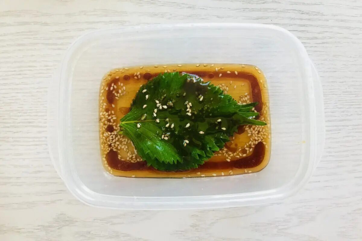 大葉レシピ