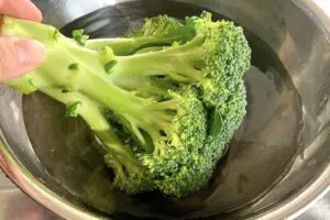sirabee20250401broccoli10