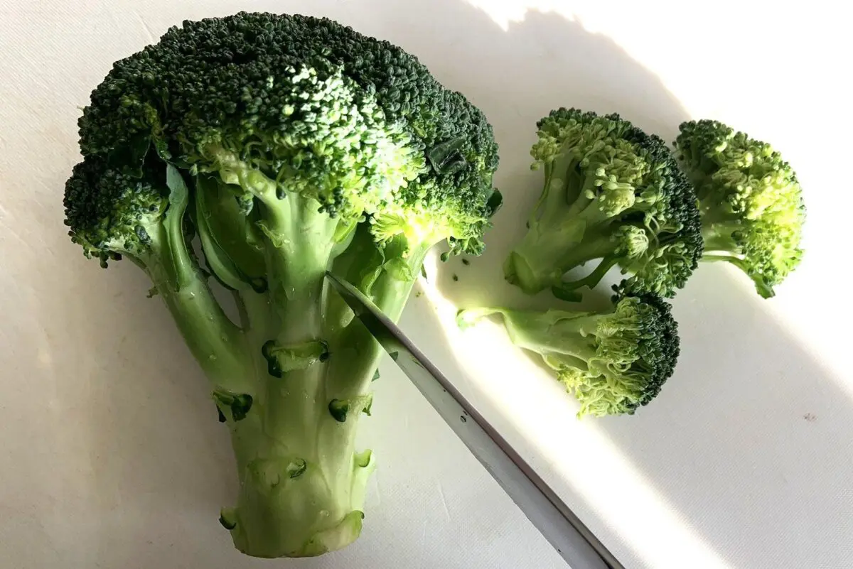 sirabee20250401broccoli4