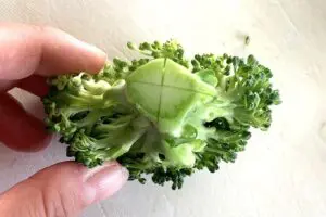 sirabee20250401broccoli5