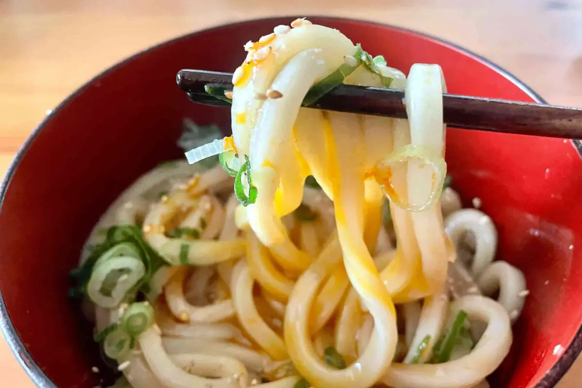 sirabee20250401udon5