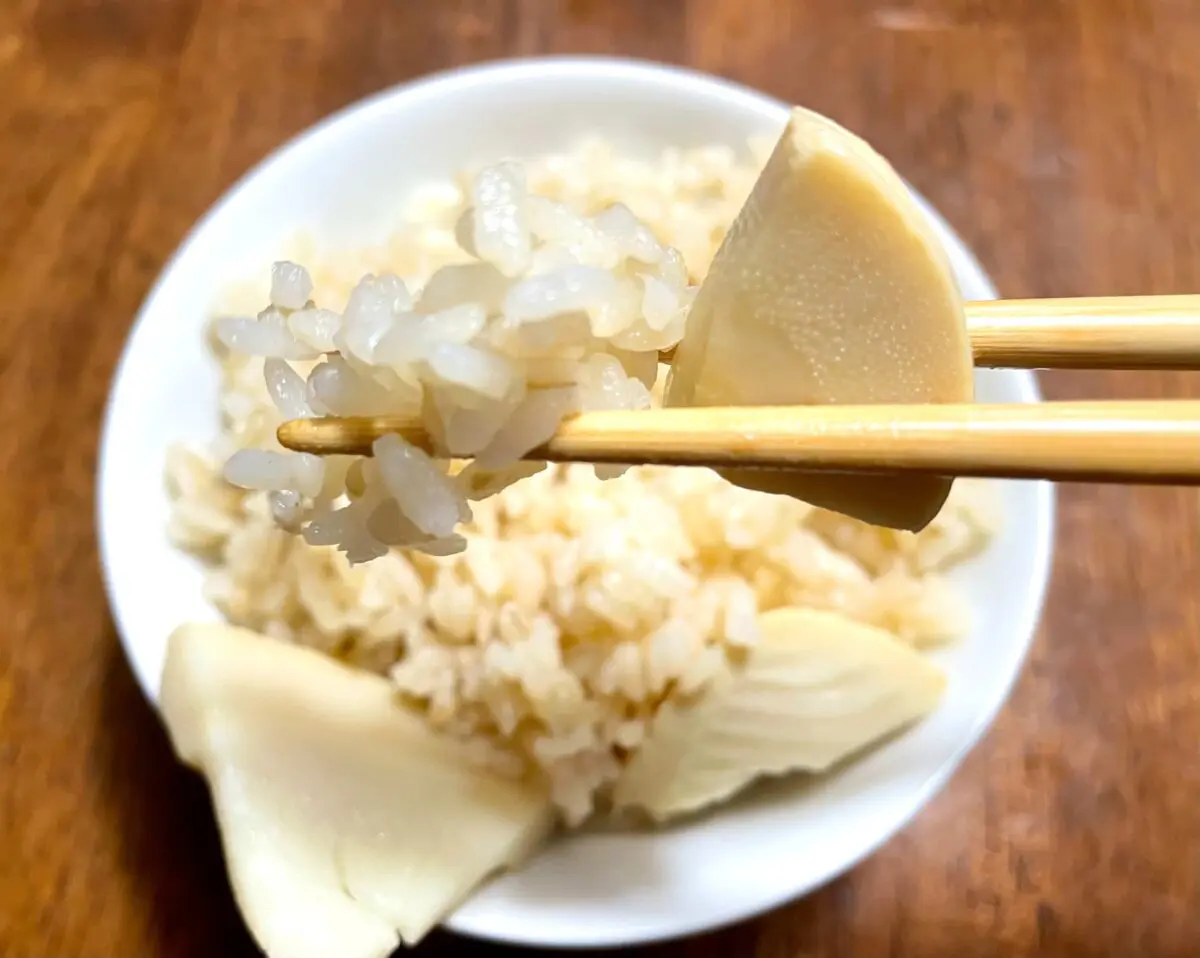 sirabee20250403bamboo6