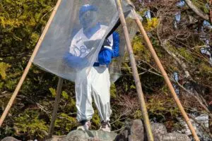 sirabee20250403ninomiyakinjiro