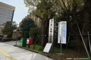 sirabee20250404kagoshima5