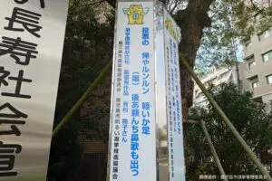 sirabee20250404kagoshima6