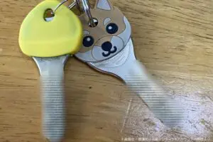 家のカギ、他人に絶対見せてはいけない理由が恐ろしすぎる　「知らなかった…」とネット民驚愕