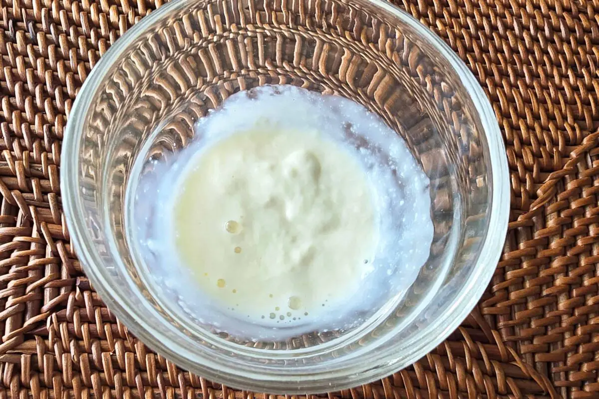 sirabee20250406toast2