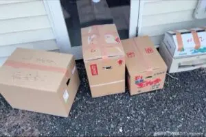 保護猫カフェに無断投棄の段ボール、酷すぎる中身に「寝言をほざくな」と怒りの声