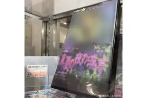 sirabee20250407surugaya2a