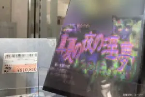 sirabee20250407surugaya3a