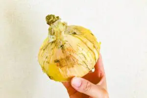 『ぽかぽか』玉ねぎ、“ラップで包んで保存”はNGだった… 「長持ちする方法」にスタジオ感心