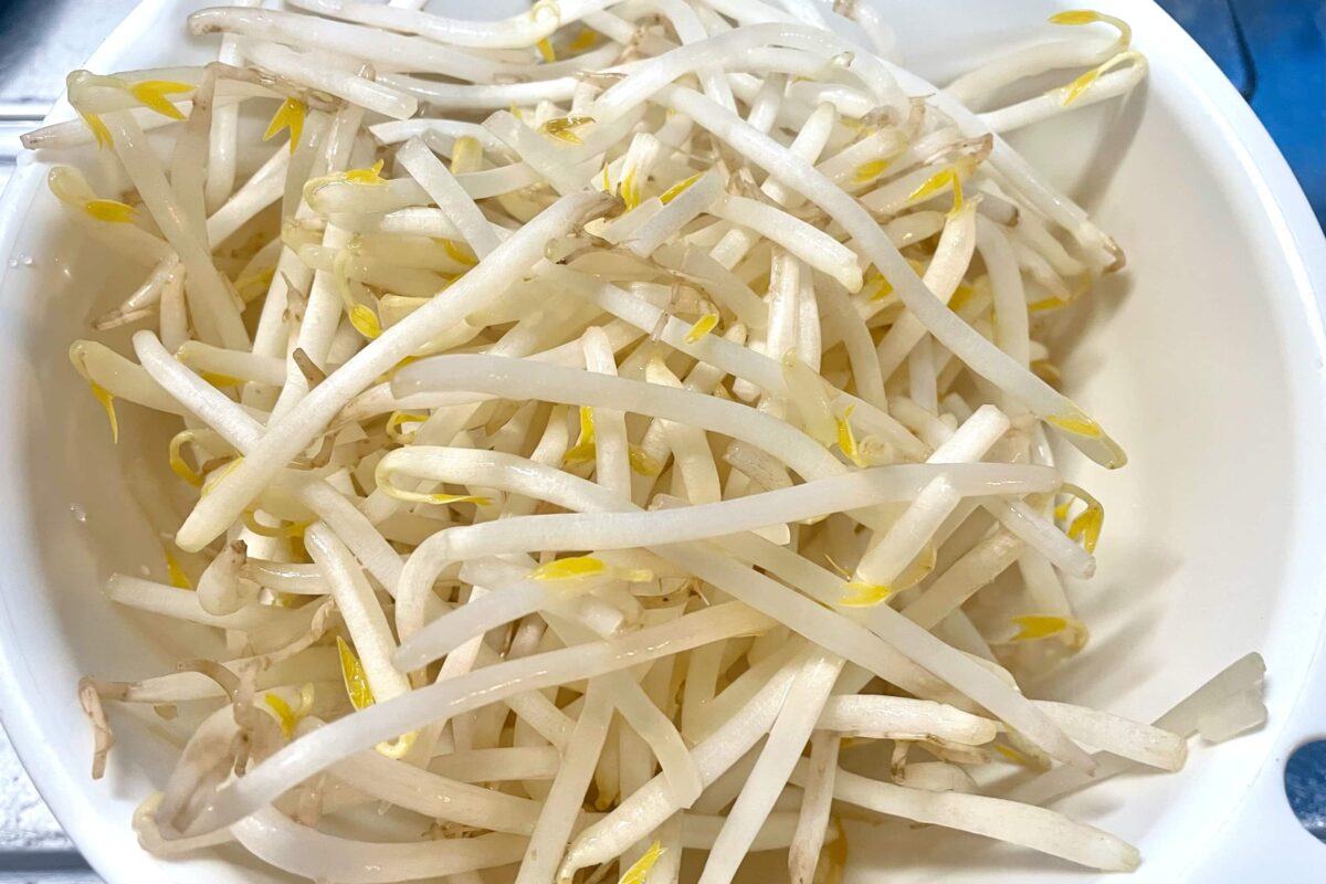 もやしと調味料3つだけ】レンチンで作る神レシピ 超優秀な常備菜だった