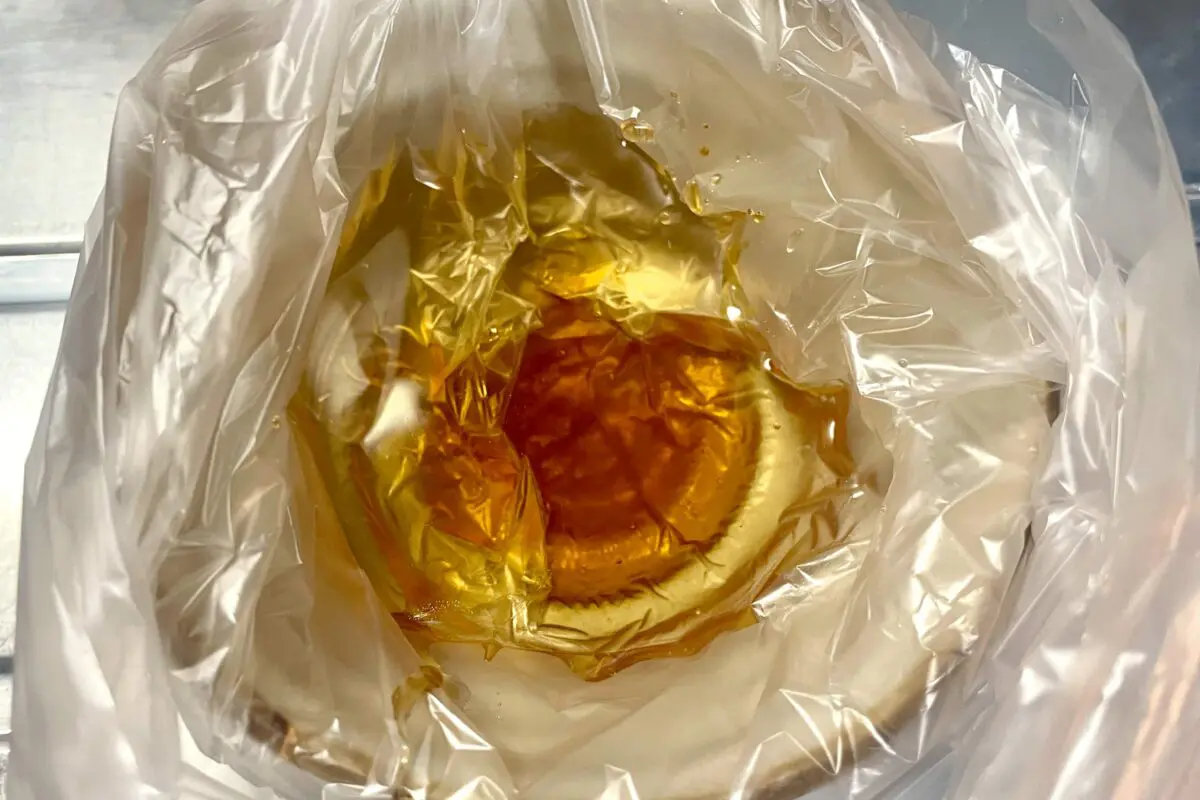 sirabee20250410beansprut3