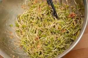 sirabee20250410broccolisprouts5