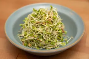 セブン公式、ブロッコリースプラウト「最高の食べ方」　コレ混ぜるだけで1パック消える