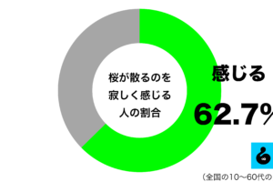 sirabee20250412sakura1
