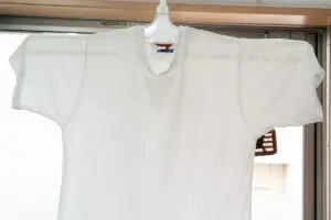 sirabee20250412sentaku_hunger2