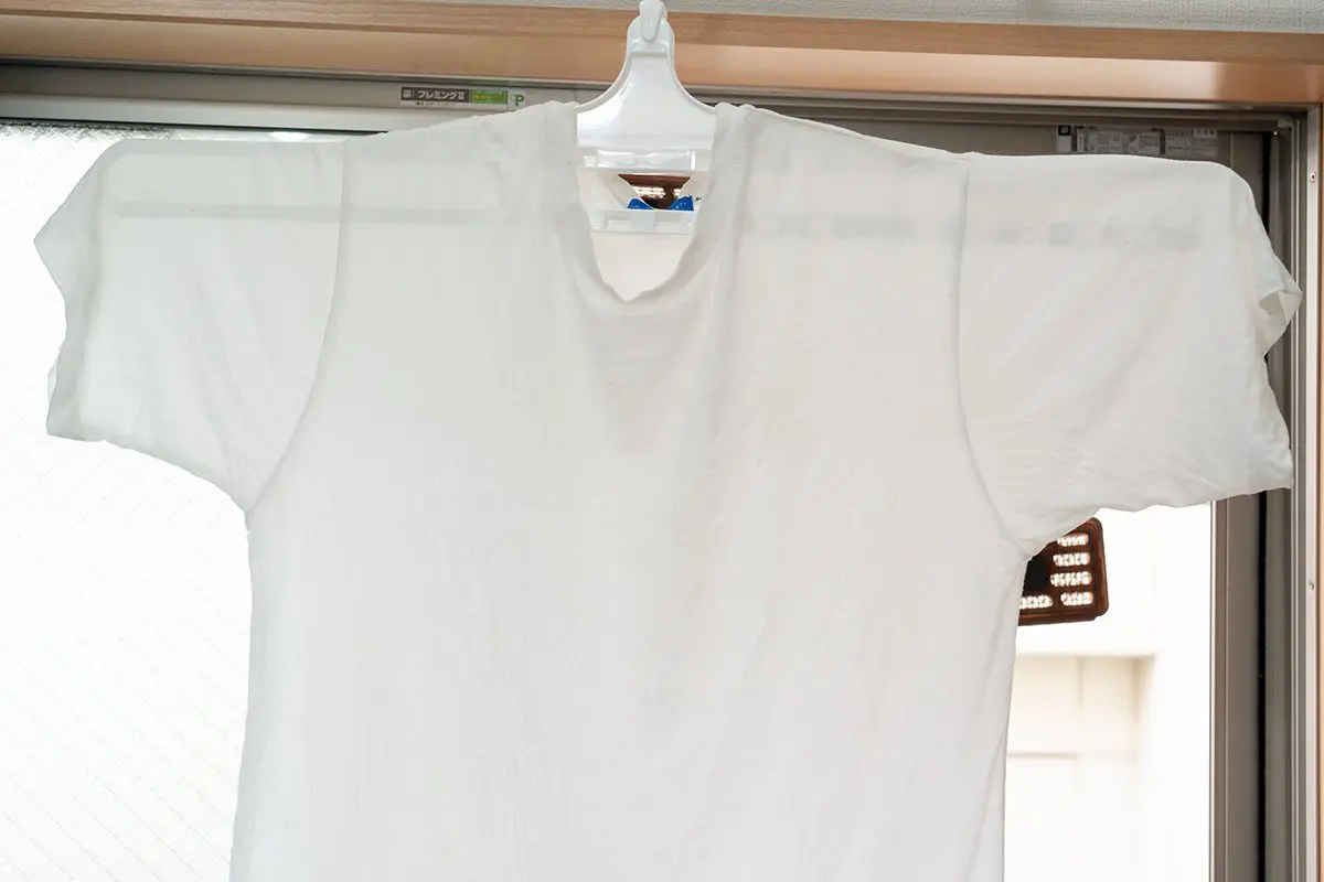 sirabee20250412sentaku_hunger2