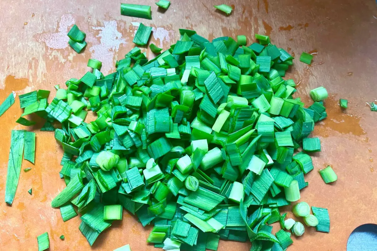 sirabee20250413udon2