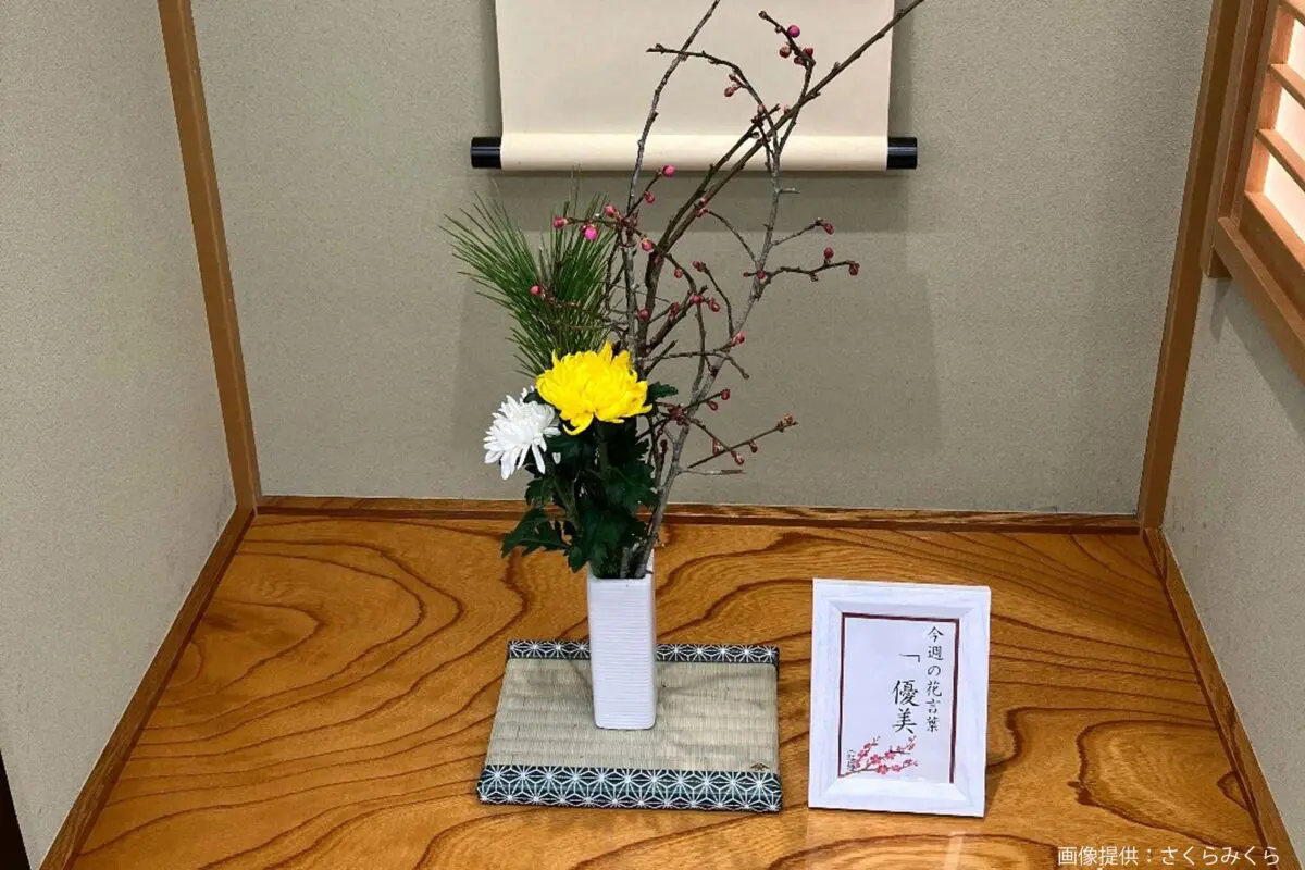 sirabee20250414sakuramikura4