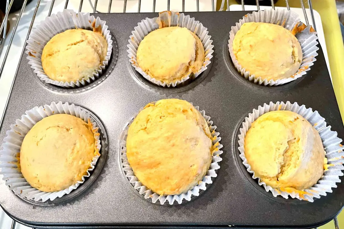 sirabee20250415pudding7