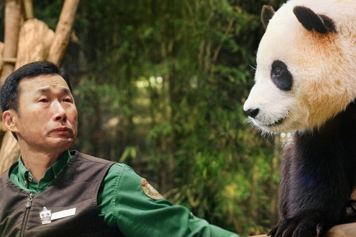 『私の親愛なるフーバオ』