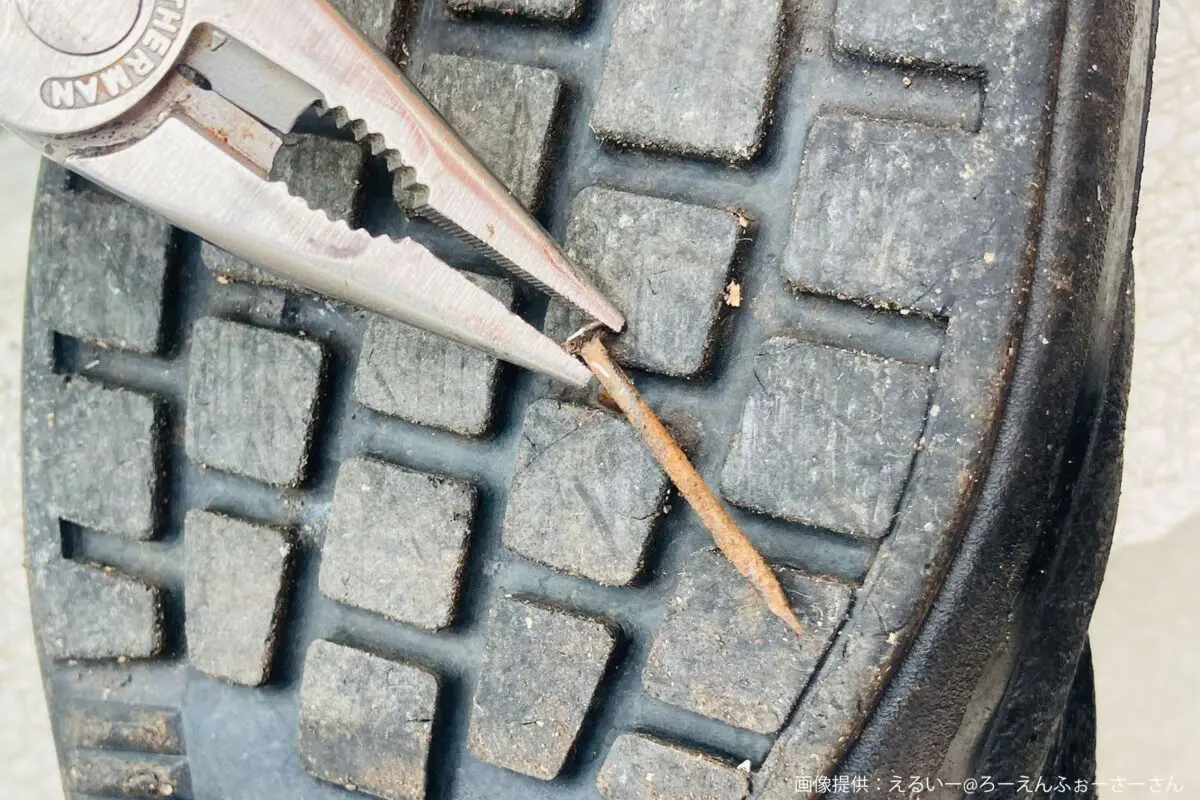 sirabee20250417midorianzen