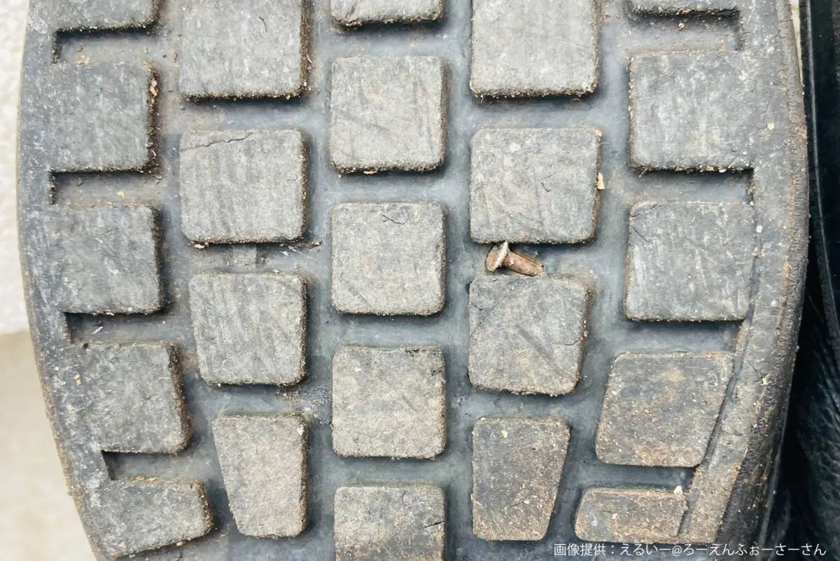 sirabee20250417midorianzen2