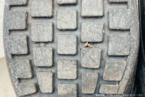 sirabee20250417midorianzen2