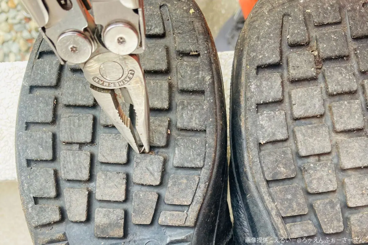 sirabee20250417midorianzen3