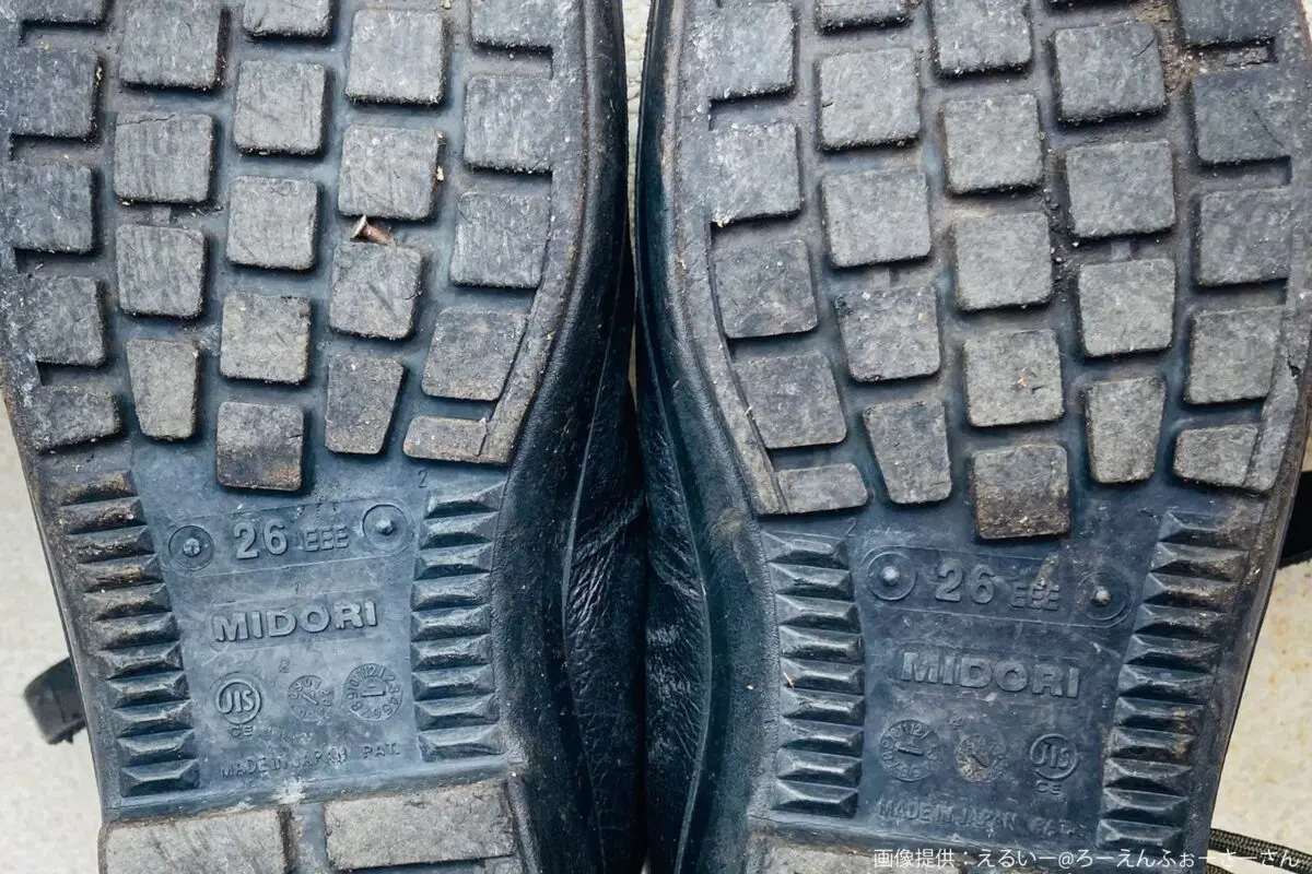 sirabee20250417midorianzen4