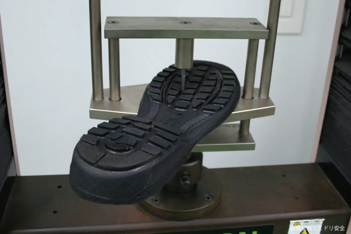 sirabee20250417midorianzen8