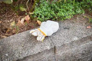 sirabee20250422daiso_funshitsuboshitag7