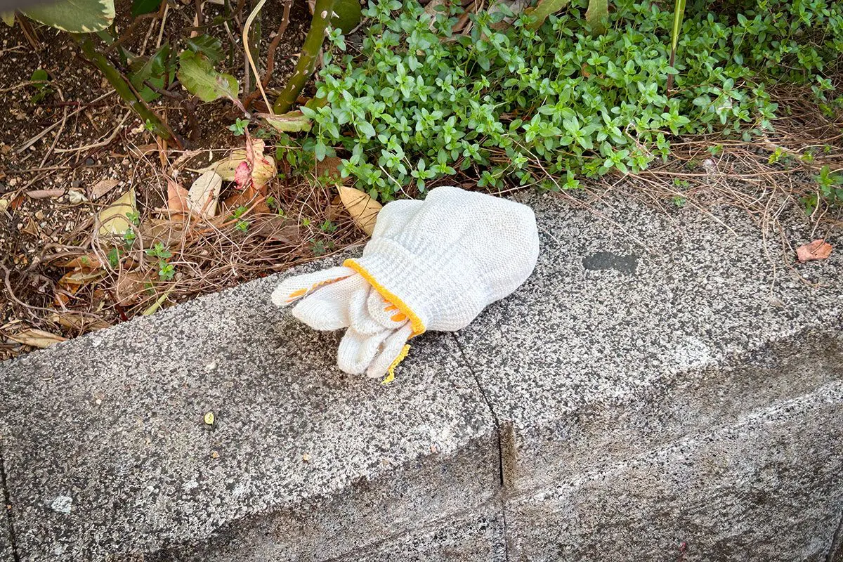 sirabee20250422daiso_funshitsuboshitag7