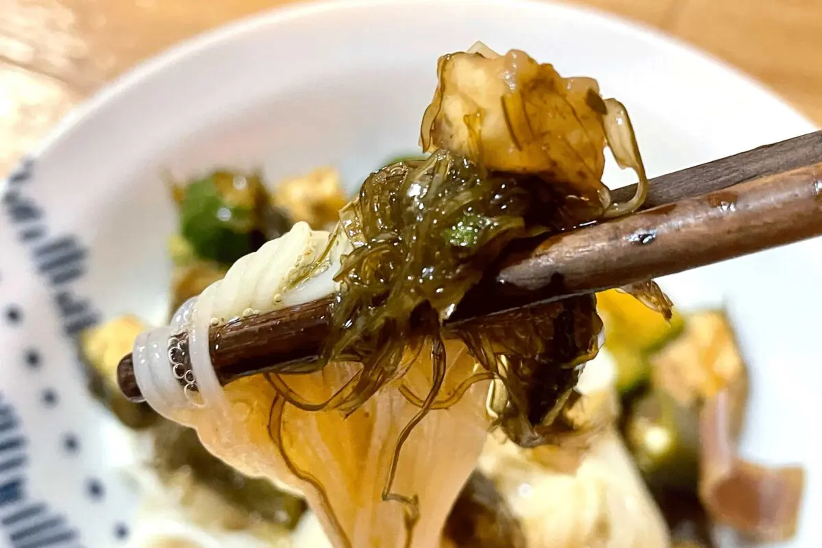 sirabee20250423dashi9