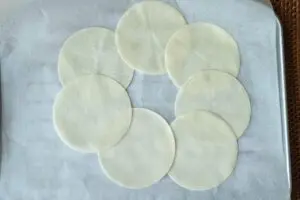 sirabee20250425gyoza2