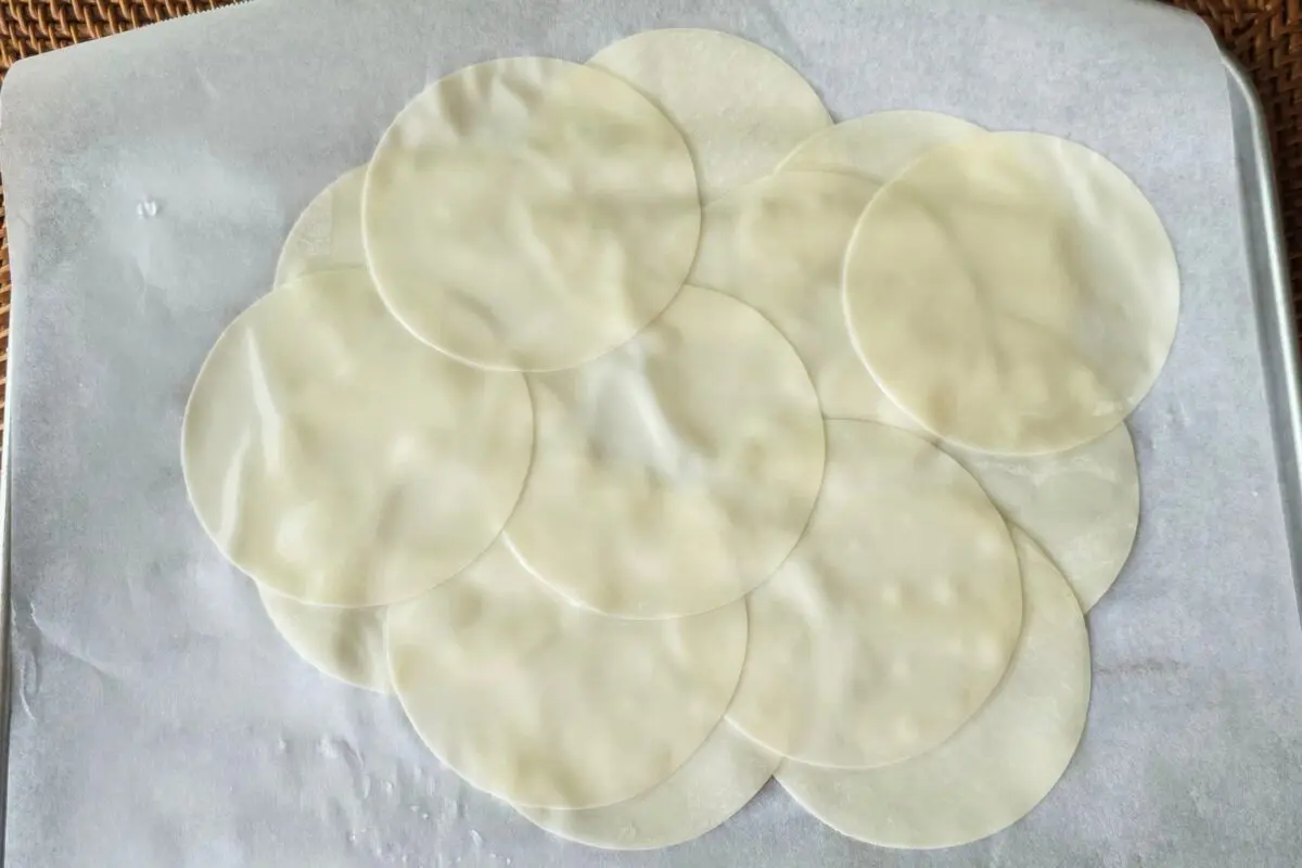 sirabee20250425gyoza3