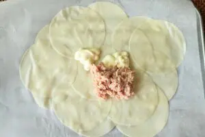 sirabee20250425gyoza4